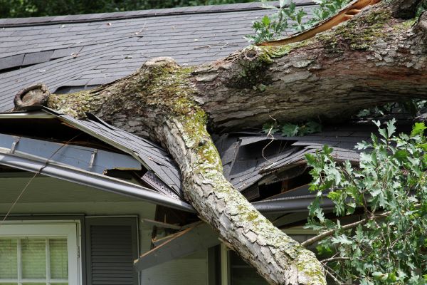 Storm Remediation in Yorba Linda