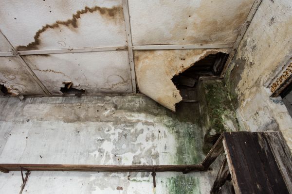 Water Damage Service in Yorba Linda