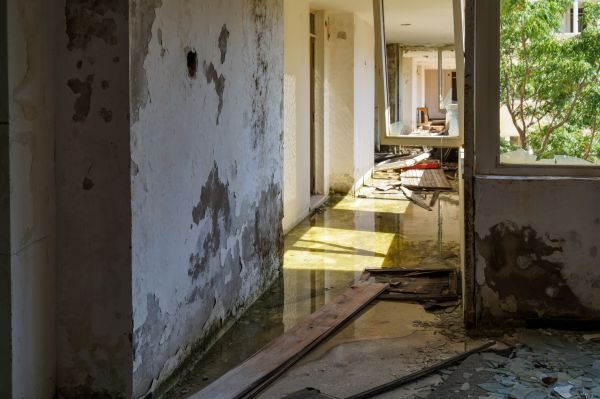 Water Removal Service in Yorba Linda