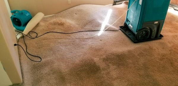 Carpet Water Extraction in Yorba Linda