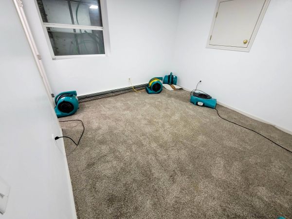 Flood Restoration Service in Yorba Linda