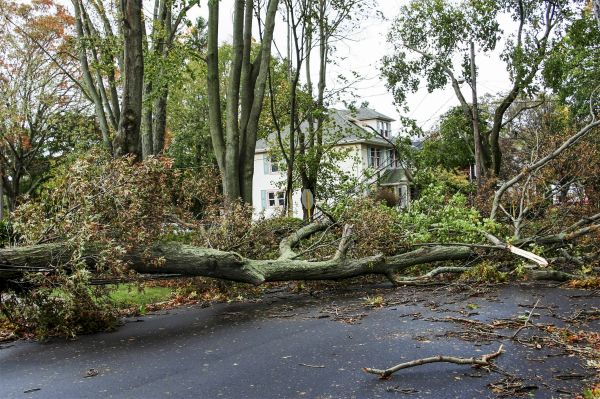 Tornado Damage Repair in Yorba Linda