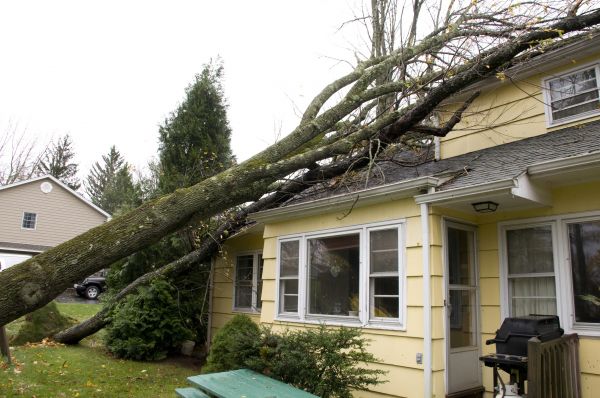 Storm Damage Mitigation in Yorba Linda