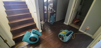 Sanitization and Odor Removal
